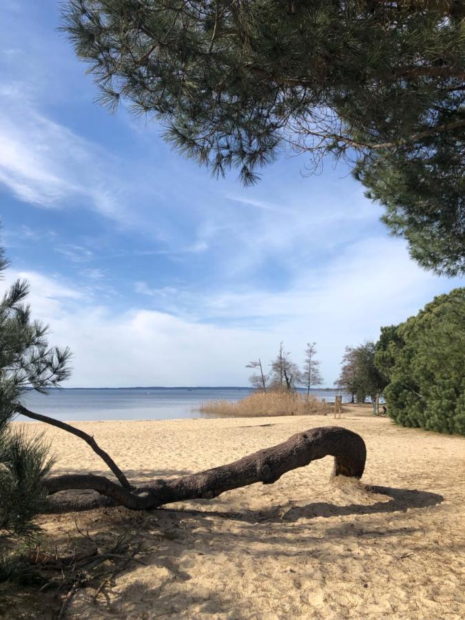 Gite Au Coeur Des Landes Lue Exterior photo